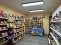 Магазины и бутики · 65.5 м² за 64 млн ₸ в Алматы, Алмалинский р-н — фото 9