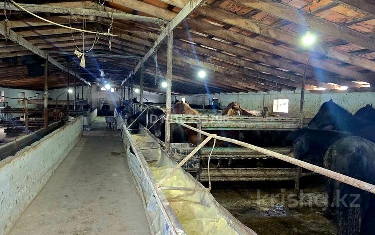 Ауыл шаруашылығы · 1200 м², бағасы: 35 млн 〒 в Талдыкоргане — фото 2