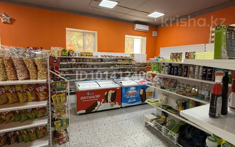 Дүкендер мен бутиктер · 103 м², бағасы: 70 000 ₸ в Астане, р-н Байконур — фото 2
