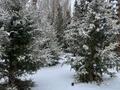 Свободное назначение, офисы, склады, сельское хозяйство, бани, гостиницы и зоны отдыха, развлечения · 551 м² за ~ 150 млн 〒 в  — фото 6