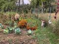 Отдельный дом · 5 комнат · 120 м² · 15 сот., Балауса 15 за 13 млн ₸ в Биринши Мамыр — фото 10