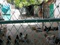 Отдельный дом · 5 комнат · 120 м² · 15 сот., Балауса 15 за 13 млн ₸ в Биринши Мамыр — фото 17