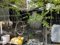 Отдельный дом · 5 комнат · 120 м² · 15 сот., Балауса 15 за 13 млн ₸ в Биринши Мамыр — фото 37