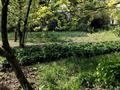 Отдельный дом · 5 комнат · 120 м² · 15 сот., Балауса 15 за 13 млн ₸ в Биринши Мамыр — фото 46
