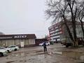 Қоймалар, жқб, автосервистер мен көлік жуу, монша, қонақ үй және демалыс орындары, білім орталықтары, ойын-сауық · 1500 м², бағасы: 350 000 〒 в Каскелене — фото 2