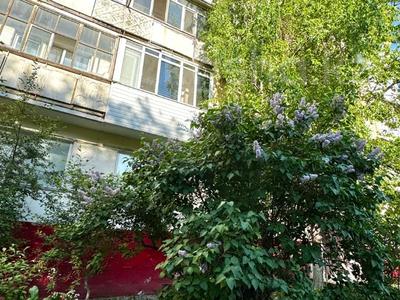2-бөлмелі пәтер · 50 м² · 3/5 қабат, Республики 21 — Шахматный сквер, бағасы: 25 млн ₸ в Астане, Сарайшык р-н