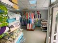 Готовый бизнес, магазин Текстиль, 160 м² за 57 млн 〒 в Костанае — фото 23