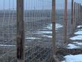 Сельское хозяйство · 50000 м² за 35 млн ₸ в Алмалы — фото 7