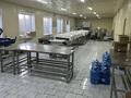 Общепит · 200 м² за 500 000 ₸ в Павлодаре