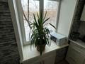 3-бөлмелі пәтер · 56.7 м² · 3/4 қабат, Бульвар Гагарина 11, бағасы: 18.9 млн ₸ в Усть-Каменогорске — фото 29