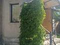 Отдельный дом · 4 комнаты · 150 м² · 6 сот., мкр Айгерим-2 44 — Шынгыстау 46 за 55 млн ₸ в Алматы, Алатауский р-н — фото 7