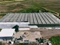 Сельское хозяйство · 2000 м² за 550 млн ₸ в Байсерке — фото 7