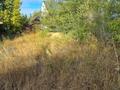 Жер телімі · 4.8 сотық, 5 Костанайская — Кобыланды Батыра, бағасы: 18 млн ₸ — фото 3