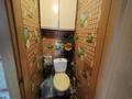 Жеке үй · 5 бөлме · 268.5 м² · 30 сот., Солнечный, бағасы: 49 млн ₸ в Петропавловске — фото 17