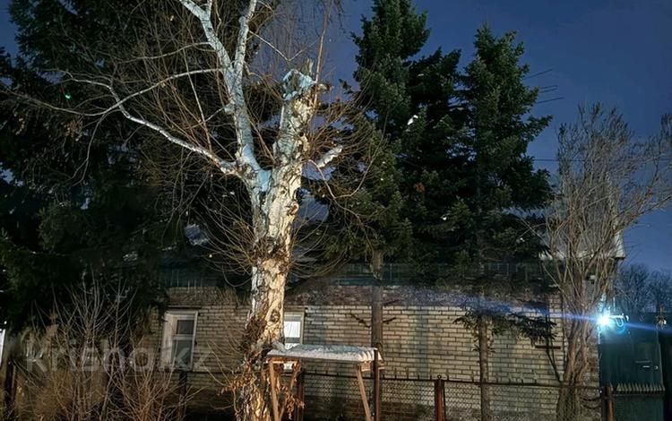 Отдельный дом · 4 комнаты · 100 м² · 10 сот., Куратова 17 за 26.5 млн 〒 в Усть-Каменогорске — фото 2