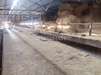 Сельское хозяйство · 2000 м² за 80 млн 〒 в Таразе