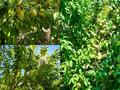 Жеке үй · 3 бөлме · 64 м² · 12 жүзд., Панфилова 229, бағасы: 8.5 млн ₸ в Карабулаке — фото 10
