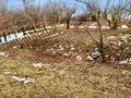 Участок · 50 соток, мкр Аскартау за 125 млн ₸ в Алматы, Медеуский р-н — фото 4