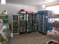 Жеке үй · 5 бөлме · 240 м² · 9 жүзд., Сулусаи 7 — Жилой массив 1, бағасы: 26 млн ₸ в Алге — фото 2