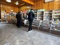 Еркін, кеңселер, жқб, автосервистер мен көлік жуу, медорталықтар мен дәріханалар, ойын-сауық · 460 м², бағасы: 200 млн ₸ в Шелек — фото 10