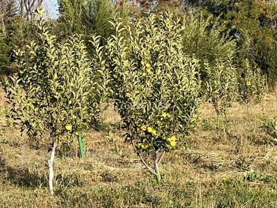 Участок · 7.12 га, Турген за 115 млн ₸