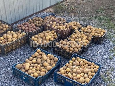 Дача · 1 комната · 15 м² · 10 сот., мкр 12 за 6 млн 〒 в Актобе