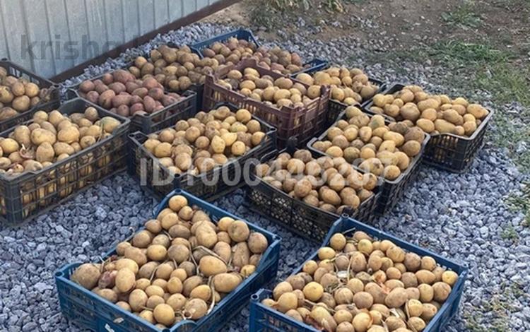 Дача · 1 комната · 15 м² · 10 сот., мкр 12 за 6 млн 〒 в Актобе — фото 2