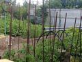 Часть дома · 4 комнаты · 67 м² · 4 сот., Чернышевского . — Сарыарка ( Степана Разина) за 16.5 млн ₸ в Темиртау — фото 3