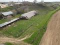 Крестьянское хозяйство/ферма, 40 м² за ~ 1.3 млрд 〒 в Караой — фото 7