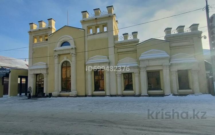 Развлечения · 2000 м² за 725 млн 〒 в Петропавловске — фото 2