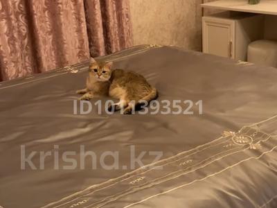 3-бөлмелі пәтер · 74 м² · 1/3 қабат, Проезд Ткацкий 8 — Район Текстиля, бағасы: 27 млн ₸ в Шымкенте, Аль-Фарабийский р-н