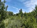 Жер телімі · 79 сотық, Ақтоған, бағасы: 25 млн ₸ в Актоган — фото 5