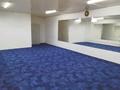 Жеке үй · 15 бөлме · 1250 м² · 8 жүзд., Көктөбе ш/а., С Нурмаганбетова 25 — Толе би восточка, бағасы: 420 млн ₸ в Алматы, Медеуский р-н — фото 31