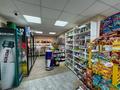 Свободное назначение, магазины и бутики, склады, салоны красоты · 60 м² за 25 млн ₸ в Костанае — фото 5
