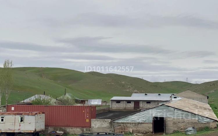 Участок · 150 га, Кордай за 47 млн ₸ — фото 12