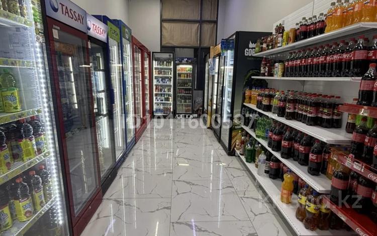 Продуктовый магазин · 130 м², бағасы: 29 млн ₸ в Астане, Сарайшык р-н — фото 2