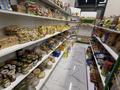 Продуктовый магазин · 130 м², бағасы: 29 млн ₸ в Астане, Сарайшык р-н — фото 2