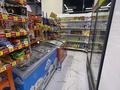 Продуктовый магазин · 130 м², бағасы: 29 млн ₸ в Астане, Сарайшык р-н — фото 4