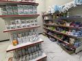 Продуктовый магазин · 130 м², бағасы: 29 млн ₸ в Астане, Сарайшык р-н — фото 9