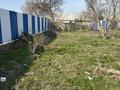 Дача · 1 комната · 10 м² · 6 сот., мкр Турлан за 9.5 млн ₸ в Шымкенте, Абайский р-н — фото 13