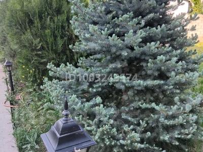 Жеке үй · 6 бөлме · 250 м², мкр Туран , Мкр Бозарык 4 — Магазин Ерасыл, Алинур, бағасы: 40 000 〒 в Шымкенте, Каратауский р-н