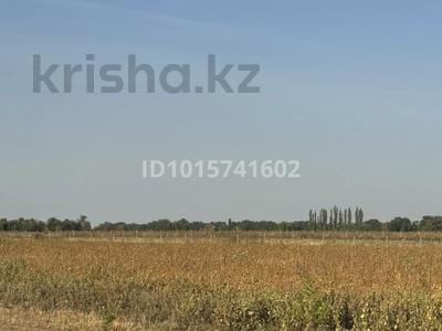 Жер телімі · 4 га, Ұзынағаш, бағасы: 20 млн ₸ в Узынагаш