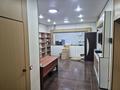 Свободное назначение, офисы, кабинеты и рабочие места · 100 м² за 450 000 ₸ в Астане, р-н Байконур — фото 8
