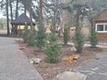 Бани, гостиницы и зоны отдыха · 289 м² за 200 млн ₸ в Акколе — фото 16