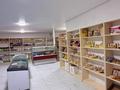 Жеке үй · 7 бөлме · 240 м² · 5.5 жүзд., Акниет 53/2, бағасы: 88 млн ₸ в Кемертогане — фото 22