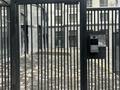 1-комнатная квартира · 42 м² · 7/9 этаж, мкр Гажайып 11/1 — Алматы Арена за 28 млн ₸ в Алатауский р-н — фото 30