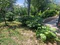 Дача · 4 комнаты · 130 м² · 8 сот., Северная 25 за 36 млн ₸ в Аскара Токпанова (Казцик) — фото 78