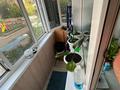 2-комнатная квартира · 44.7 м² · 2/4 этаж, 342 Квартал 1 за 18 млн ₸ в Семее — фото 13