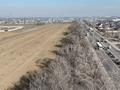 Участок · 100 соток, Ташкентская трасса за 240 млн ₸ в Каскелене — фото 16