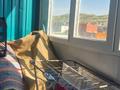 1-комнатная квартира · 47.3 м² · 6/9 этаж, Увлиева 8/1 за 20.5 млн ₸ в Усть-Каменогорске — фото 7